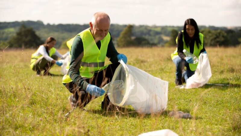 green waste removal sydney