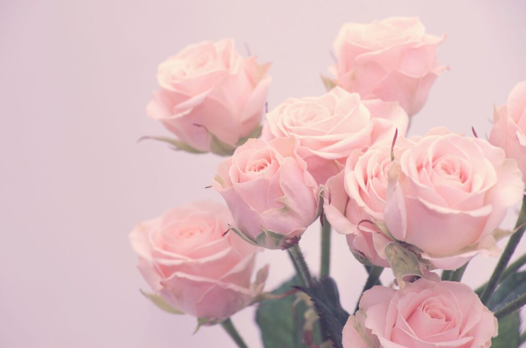 Castlecrag Florist: Elegant Creations for Any Celebration