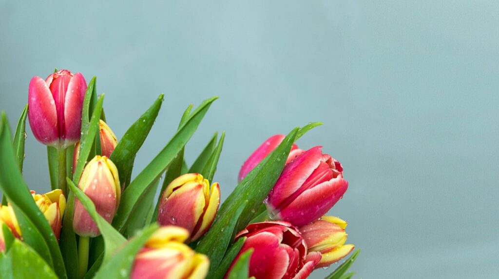 Castlecrag Florist: Elegant Creations for Any Celebration