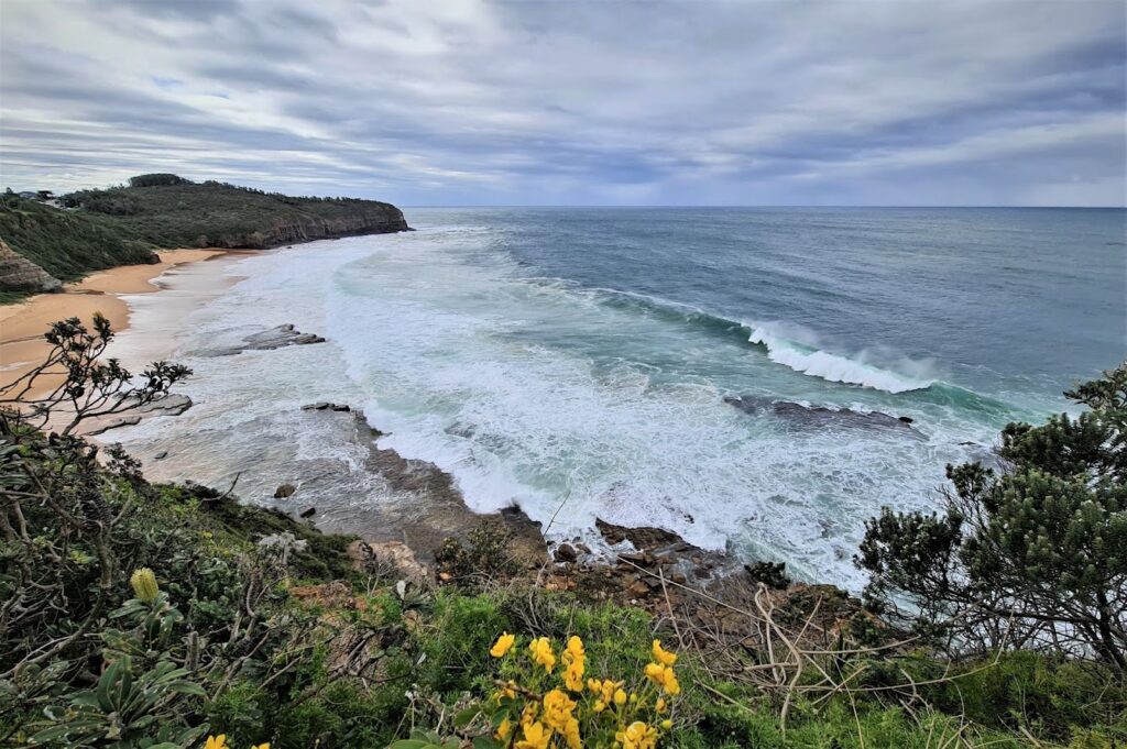 Flowers Balgowlah Heights: What Actually Works on the Headland

